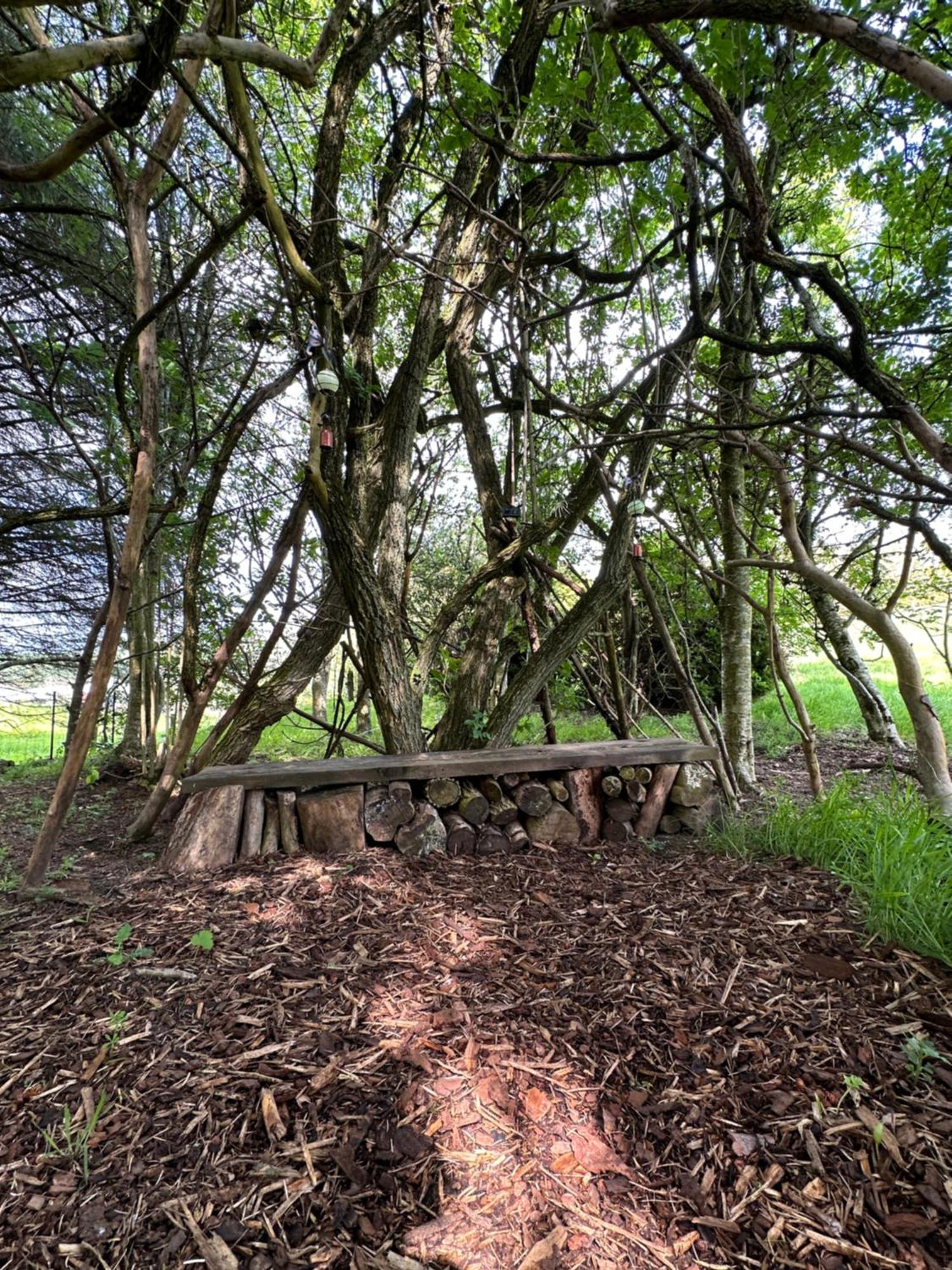 Awakening Alchemy Retreat Centre Bed & Breakfast Inverurie Ngoại thất bức ảnh