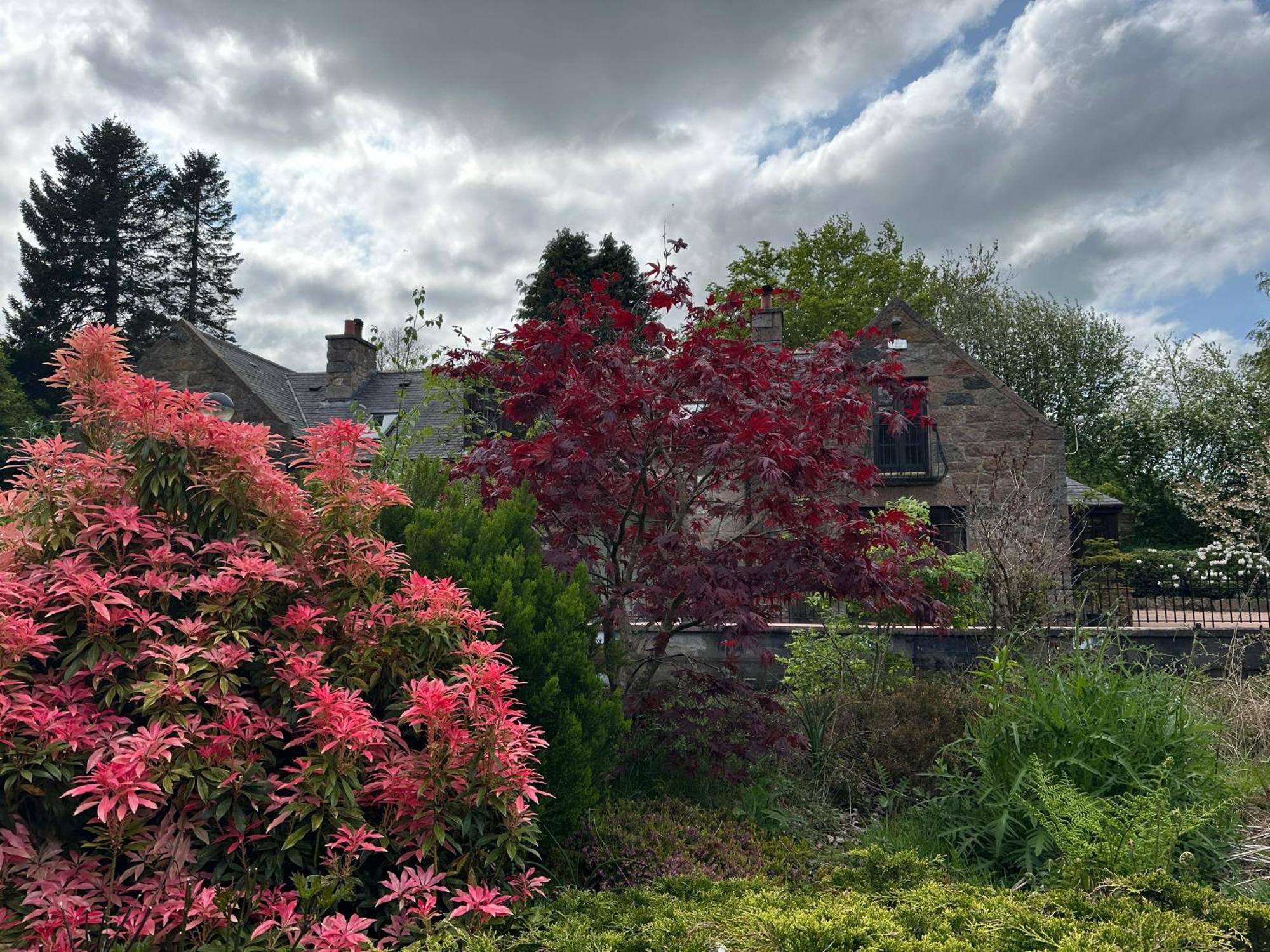 Awakening Alchemy Retreat Centre Bed & Breakfast Inverurie Ngoại thất bức ảnh